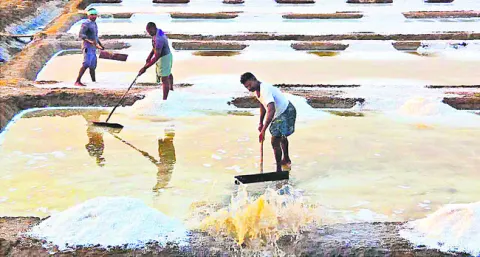 ఉప్పు సాగుకు ప్రకృతి విఘాతం