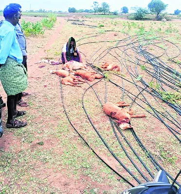 గుంతక