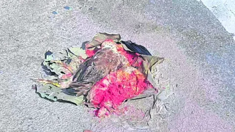 నమ్మి
