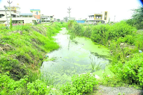 మురుగ