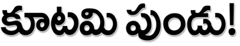 మద్దత