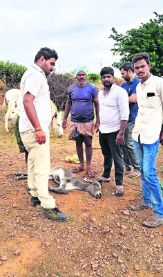 యువకు
