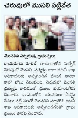 ఆటోవా