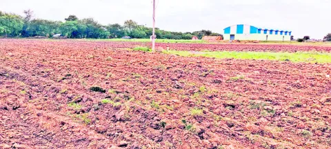 ఖాళీ జాగా.. టీడీపీ నాయకుల పాగా!