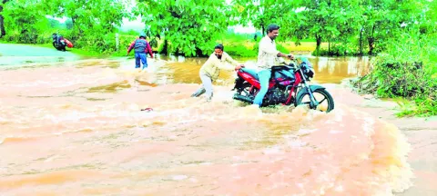 అవే..