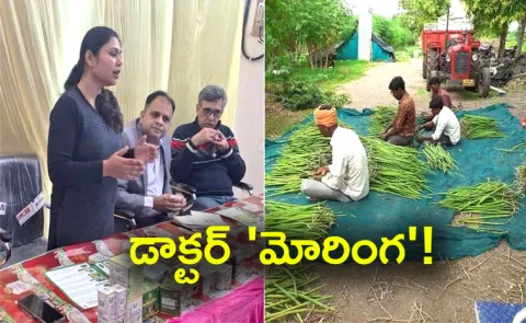 Ex‑Scientist Kamini Sing Moringa Venture Empowers 1000 Pluse Farmers