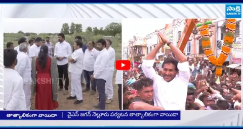 YS Jagan Nellore Tour Postponed 4