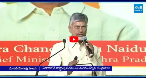 Chandrababu Govt Anarchies In One Year Rule 3