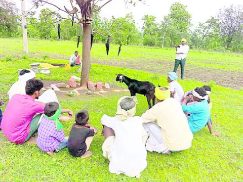 గిరి 
