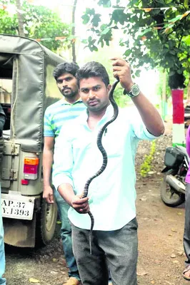 సర్ప 