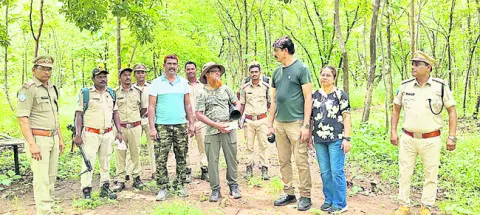 సీతాకోక చిలుకలు, పక్షులపై అధ్యయనం 