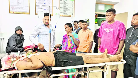 ● ఎమ్