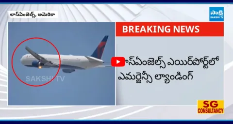 American Airlines Flight Catches Fire 1