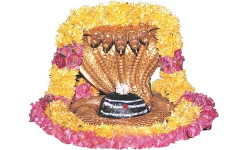 Every Tuesday Sparsha Darshan at Srisailam
