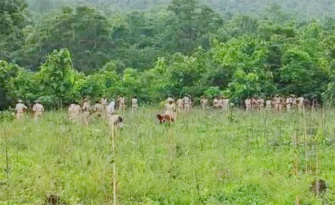Adilabad District: Podu Farmers Stone Attack On Forest Personnel