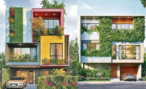 Vertical Garden in house elevation real estate