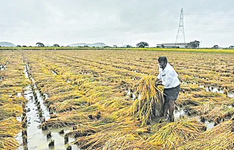 Increasing water efficiency through technology
