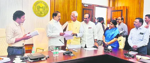 మోడల్‌ మార్కెట్‌కు సహకరించండి 