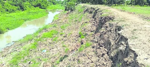 పొంచి ఉన్న నక్కలగండి