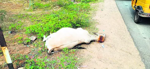 అదుపు