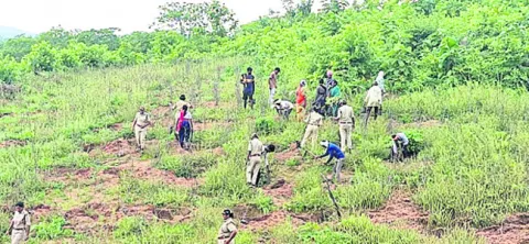 ముల్తానీలు వర్సెస్‌ అటవీశాఖ