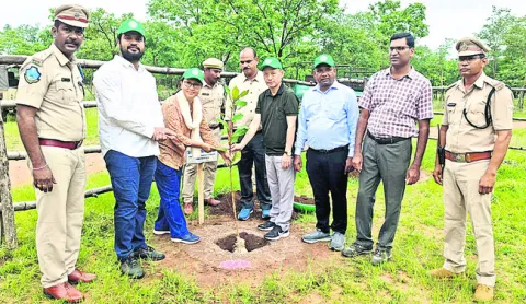 వనమహోత్సవంతో పచ్చదనం విస్తరించాలి
