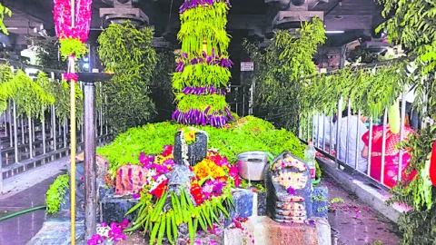శాకంబ