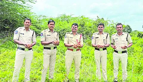 మైసమ్