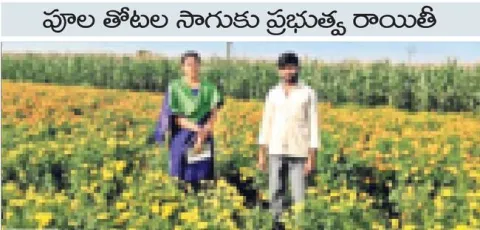 సుగంధాల సిరులు