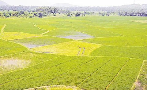 Forensic audit on Dharani Portal in Telangana: Ponguleti Srinivas Reddy