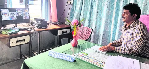 కాలేజ