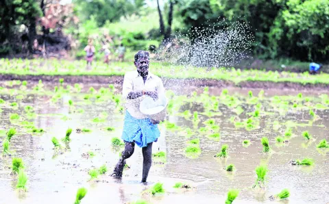 బరువె