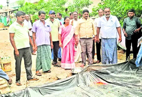 అభివృద్ధిని చూసి ఓర్వలేకనే విమర్శలు