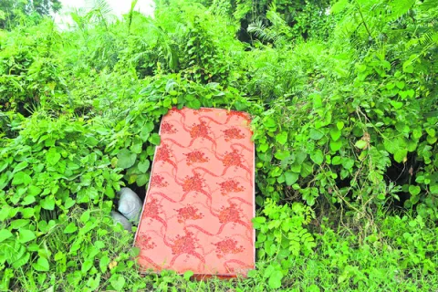 డంపింగ్‌ యార్డుగా కేన్‌ప్రాంతం