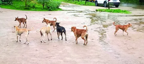 హడలెత