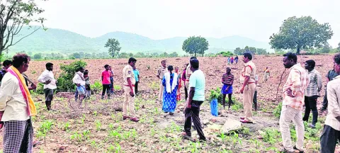 భూవివ
