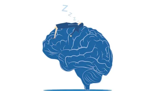 Prolonged sitting can shrink the brain