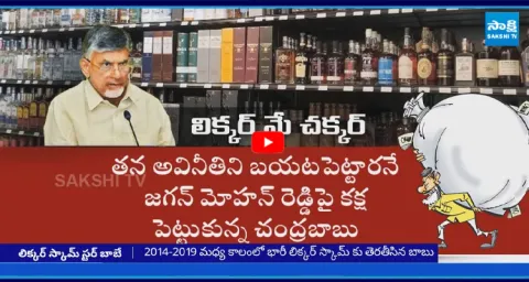 Magazine Story On Nara Chandrababus CORRUPTION in Liquor Scam 1