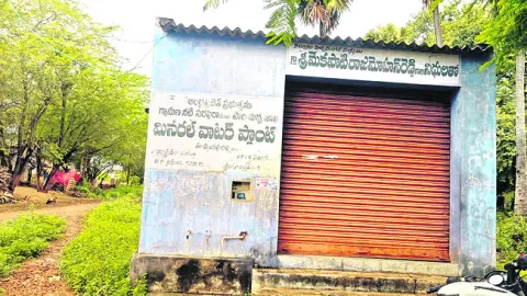 ‘పచ్చ