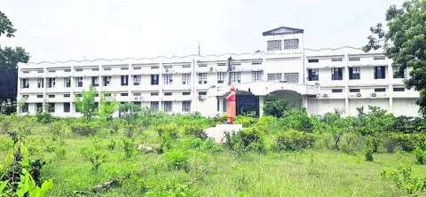 అవే స