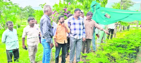 అభివృద్ధి పనులపై కేంద్ర బృందం ఆరా 
