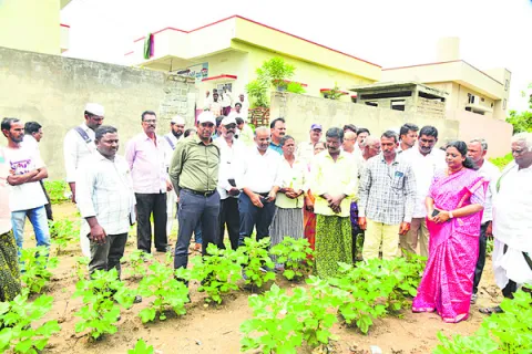 ఉద్యాన పంటలతో  సుస్థిర ఆదాయం 