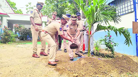 క్రమశిక్షణతో పనిచేయాలి