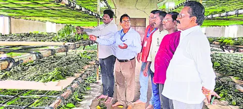 పట్టు సాగులో ఆధునికత అవసరం 