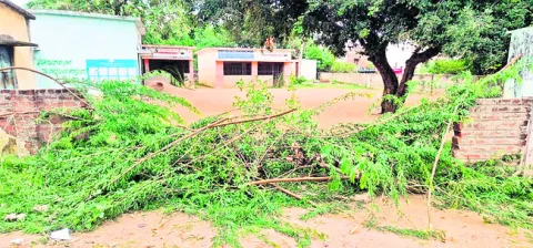 మా పిల్లలకు చదువు వద్దు