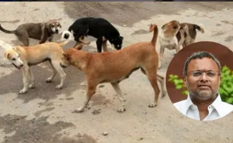 Cant Ignore over 3 lakh Dog Bite Karti Chidambaram14