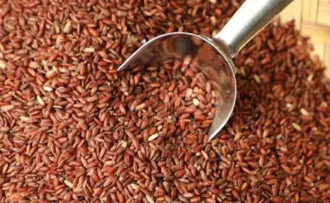 Sagubadi: Kullakar Rice several health benefits and nutritional vules8