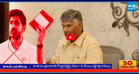 TDP Illegal Cases On YSRCP Leaders 1