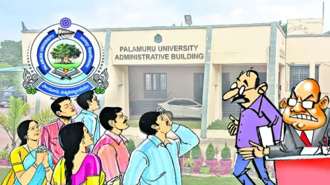 పీయూలో ఏం జరుగుతోంది? 