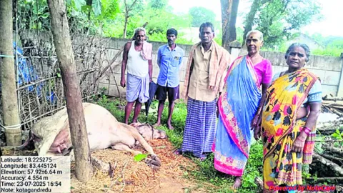 పిడుగ